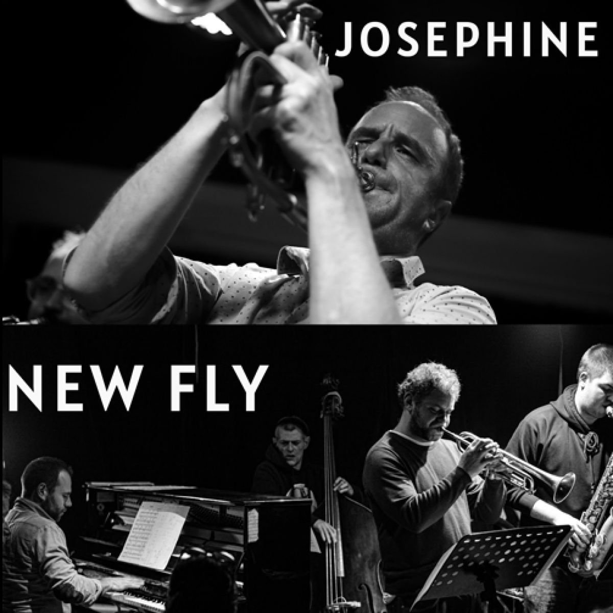 Joséphine / New Fly