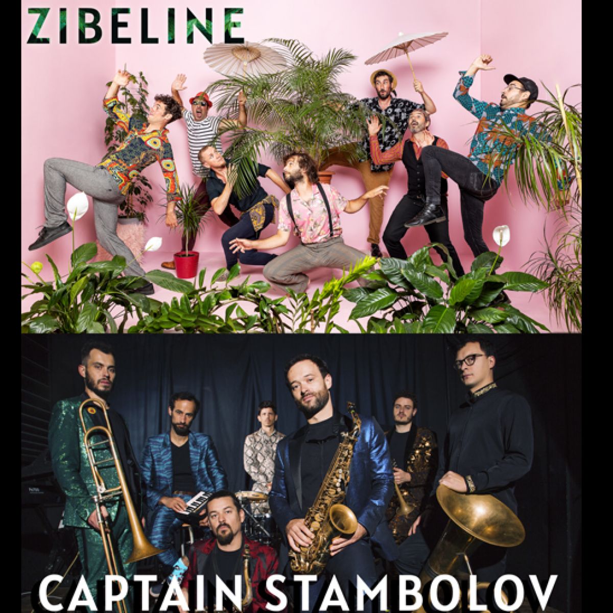 Zibeline / Captain Stambolov