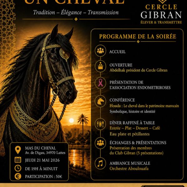 Mas du cheval